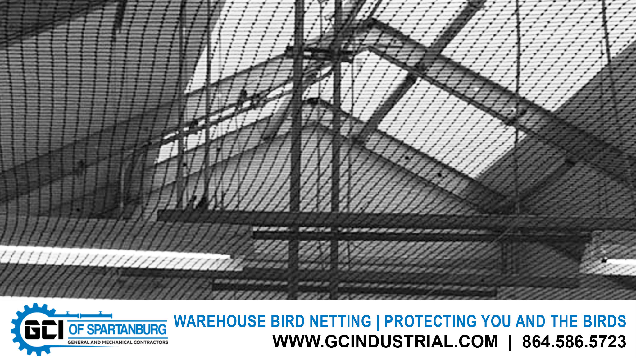 Warehouse Bird Netting | Protecting You and the Birds